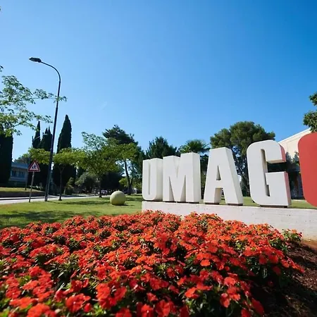 アパート Katarina ウマグ